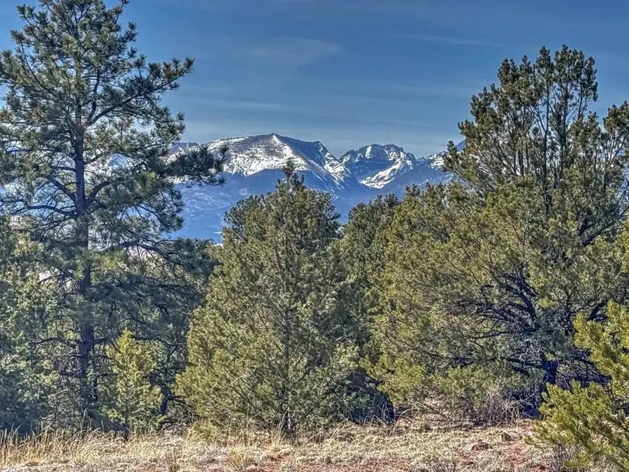 426 Arapaho Rd, Westcliffe, CO 81252 - #3