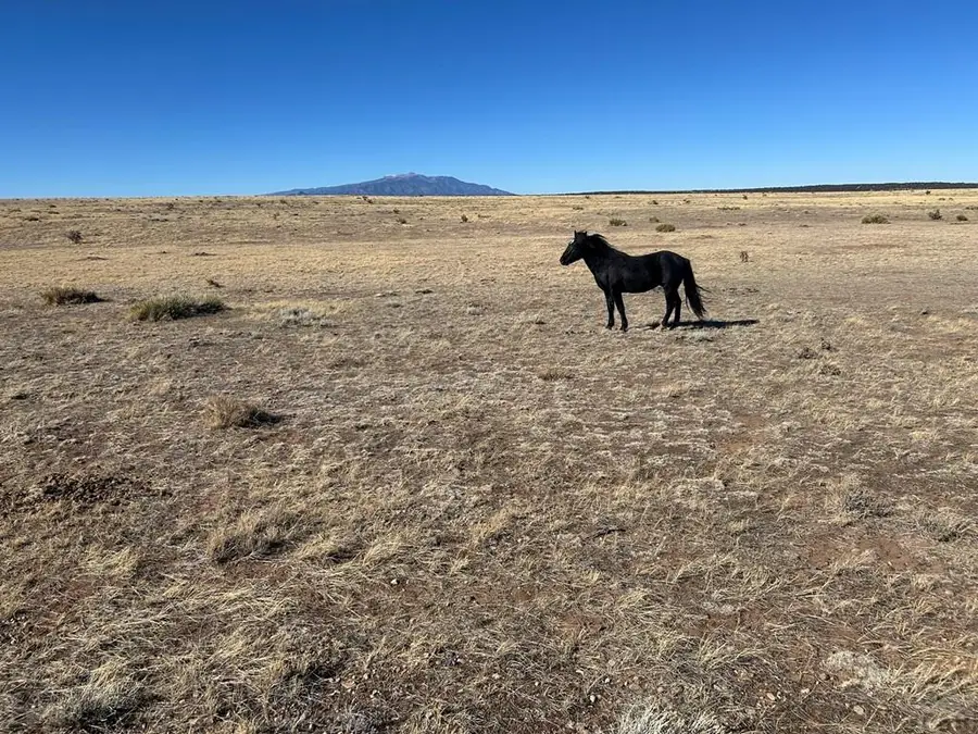 Lot 75a River Ridge Ranch, La Veta, CO 81055 - #3