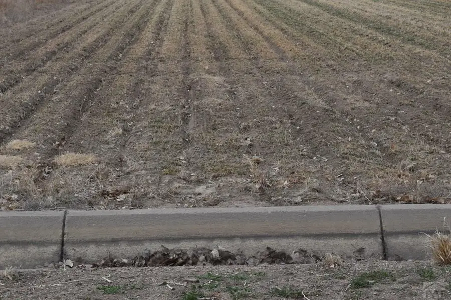 12521 Road Jj, Manzanola, CO 81058 - #3