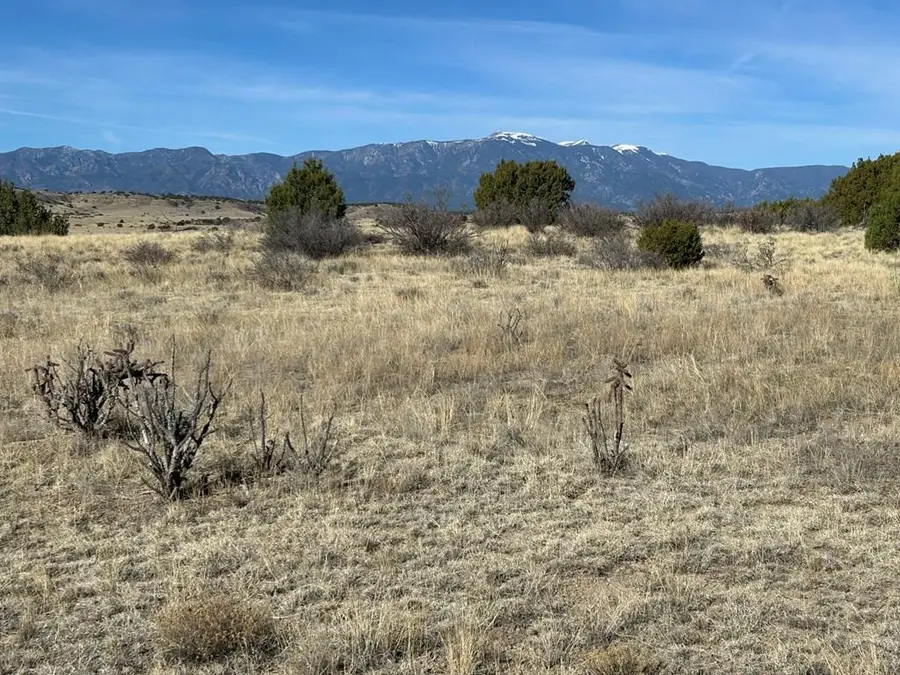 Lot 122 Ghost River Ranch, Rye, CO 81069 - #2