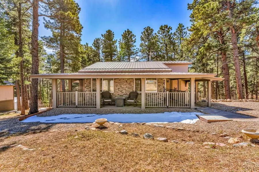 8326 Cuerna Verde Rd, Rye, CO 81069 - #3