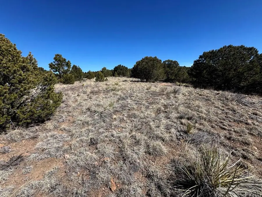 514 Kiowa Rd, Westcliffe, CO 81252 - #2