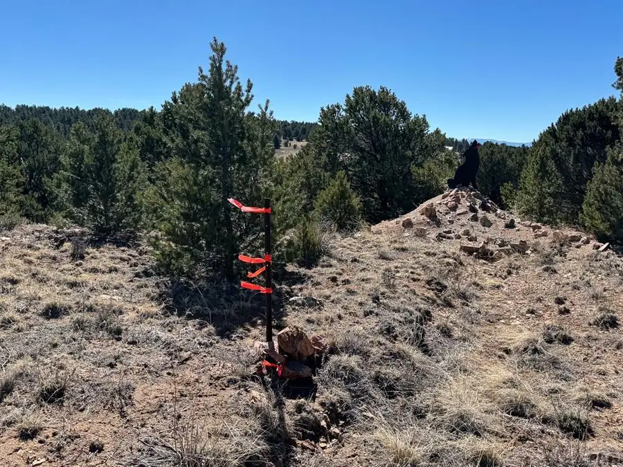 514 Kiowa Rd, Westcliffe, CO 81252 - #3