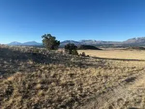 22 Turkey Creek Ranches, Walsenburg, CO 81089 - #3