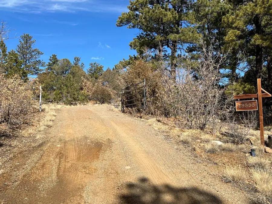 13333 Stonewall Parallel Rd., Weston, CO 81091 - #2