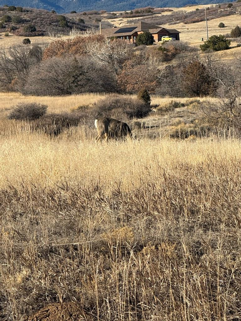 TBD No Site Address, Colorado City, CO 81019 - #2