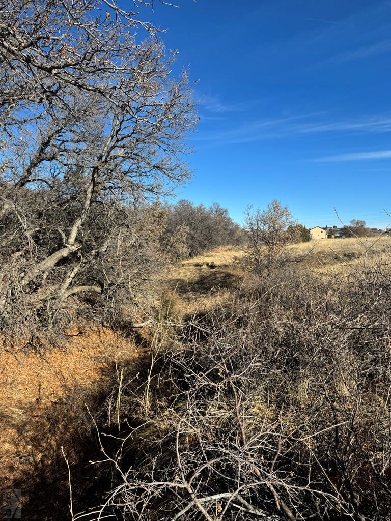 TBD No Site Address, Colorado City, CO 81019 - #3