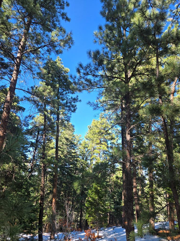 TBD Zorn Rd, Rye, CO 81069 - #2