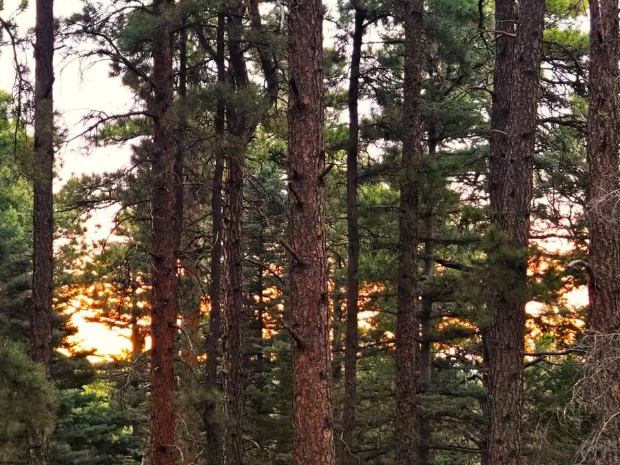 TBD Zorn Rd, Rye, CO 81069 - #3