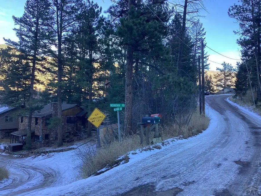 TBD Wild Wood Rd, Cascade, CO 80809 - #3