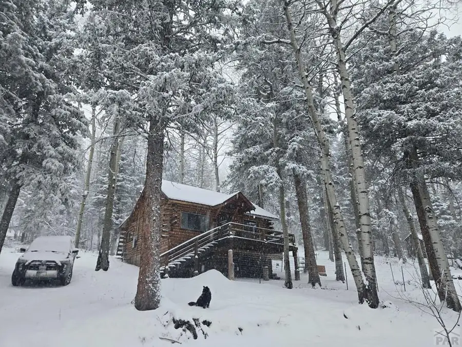 9626 State Hwy 165, Rye, CO 81069 - #3