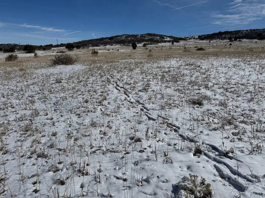 TBD Antoinette Lane, Colorado City, CO 81004 - #3