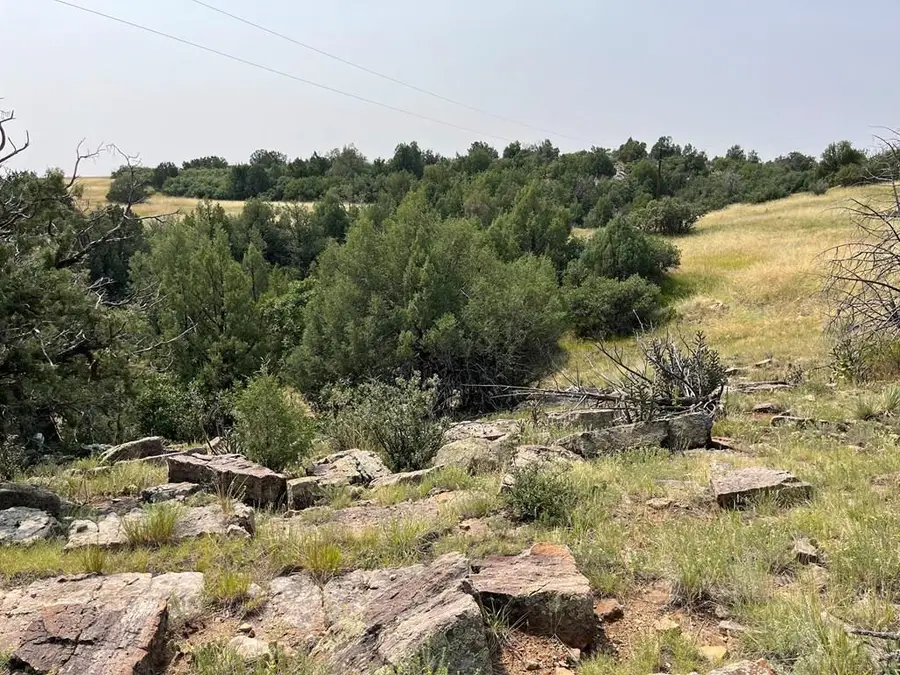 TBD Gilpin St, Colorado City, CO 81019 - #3