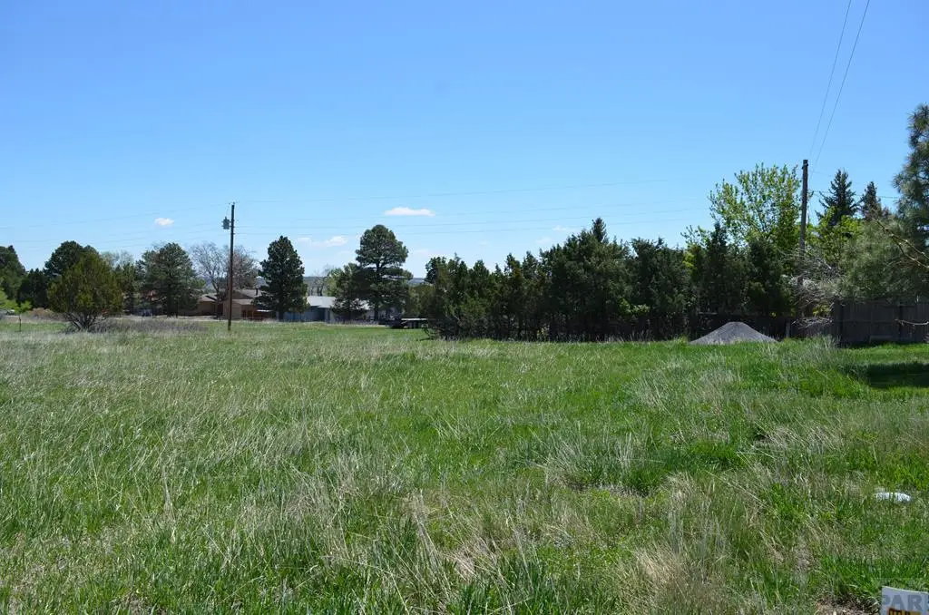 Lot 745 Anthony Ave, Colorado City, CO 81019 - #1