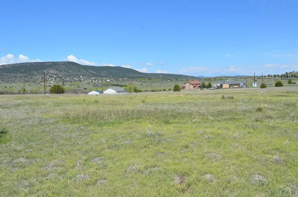 3423 Lagrima De Oro, Colorado City, CO 81019 - #1