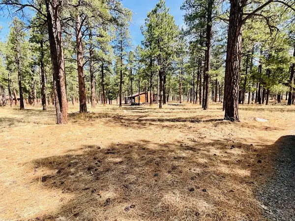 Address Withheld By Seller, Stonewall, CO 81091