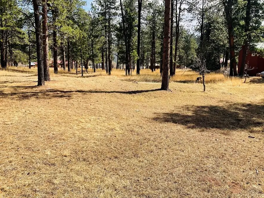 Address Withheld By Seller, Stonewall, CO 81091 - #2