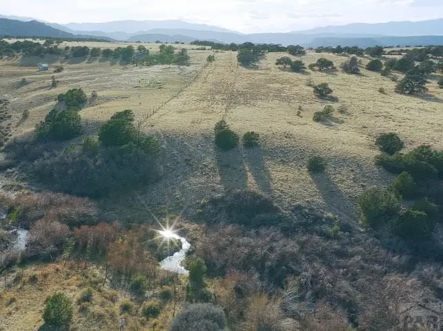 TBD County Road 560, Gardner, CO 81040 - #2