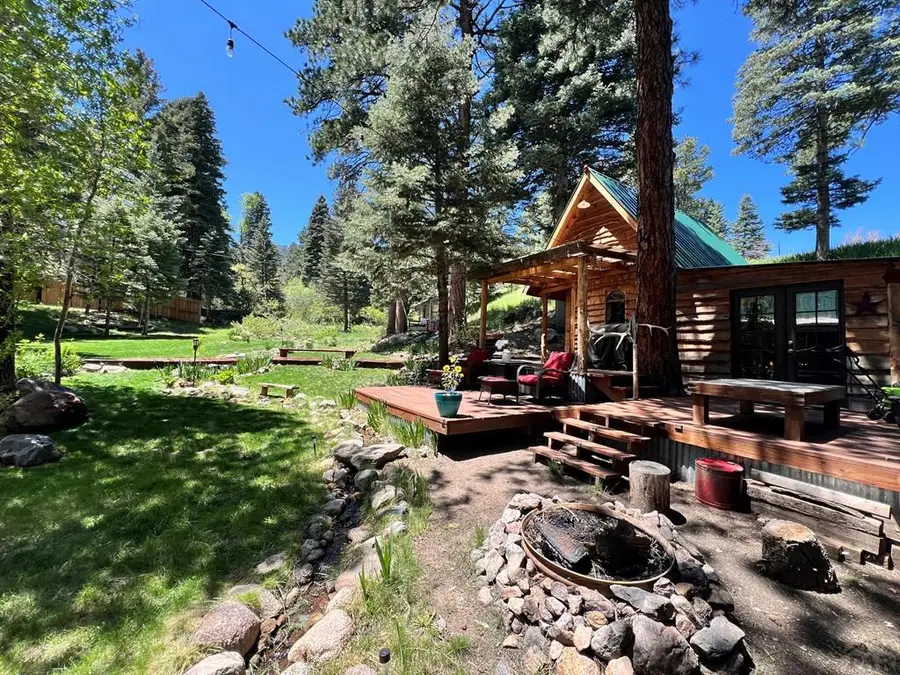 10421 Linger Longer Lane, Rye, CO 81069 - #3