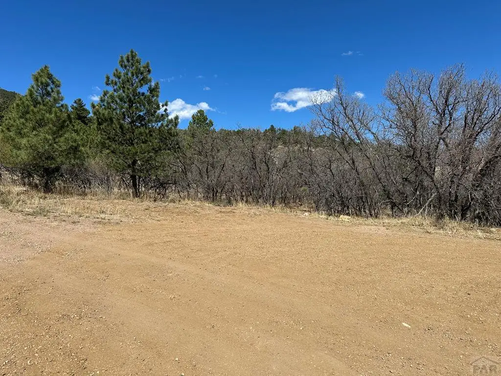 LOT 17 Tall Bull Place, Colorado City, CO 81019 - #1