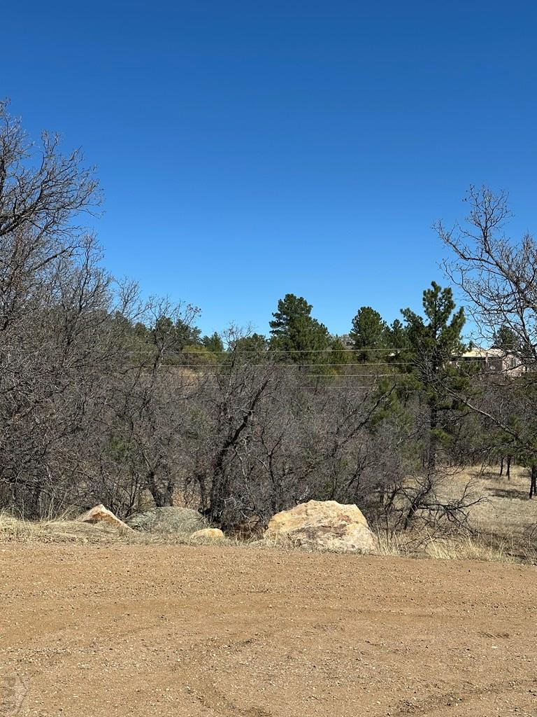 LOT 17 Tall Bull Place, Colorado City, CO 81019 - #2