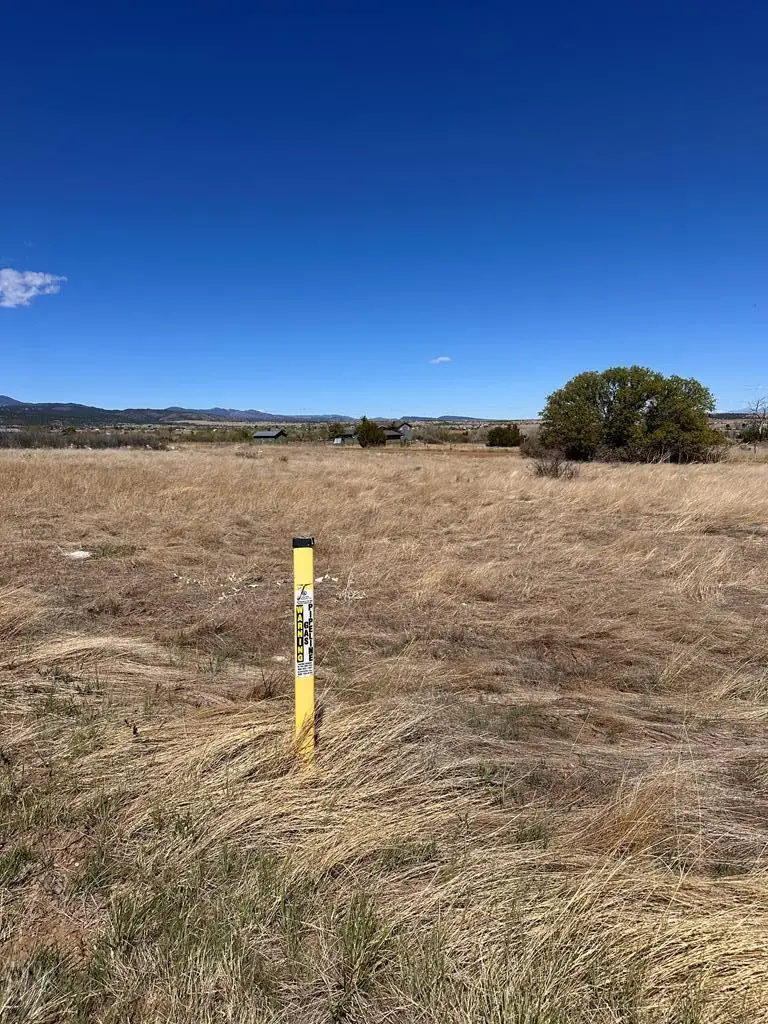 LOT 188 Ouray St, Colorado City, CO 81019 - #1