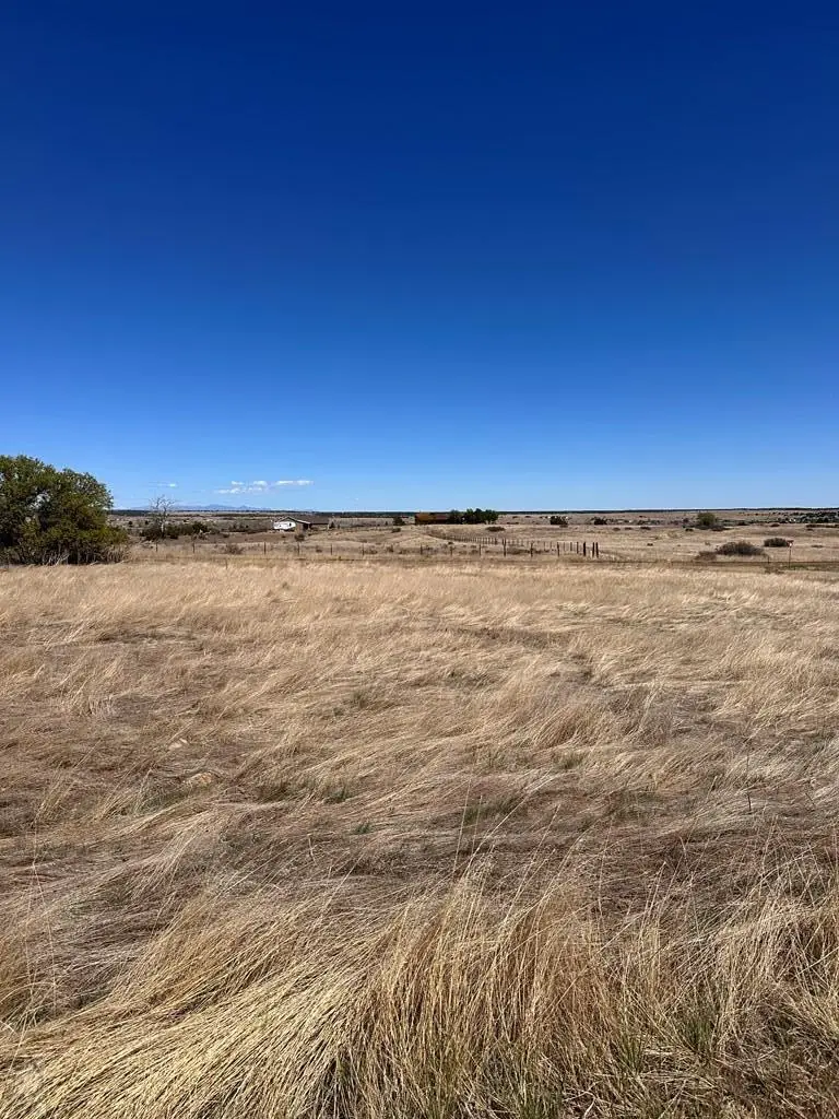 LOT 188 Ouray St, Colorado City, CO 81019 - #2