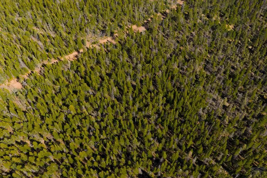 TBD Lot 3170 Purnell Ln, Fort Garland, CO 81133 - #3