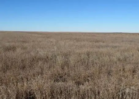 R41 T26 S17 County Rd 35, Holly, CO 81047 - #1
