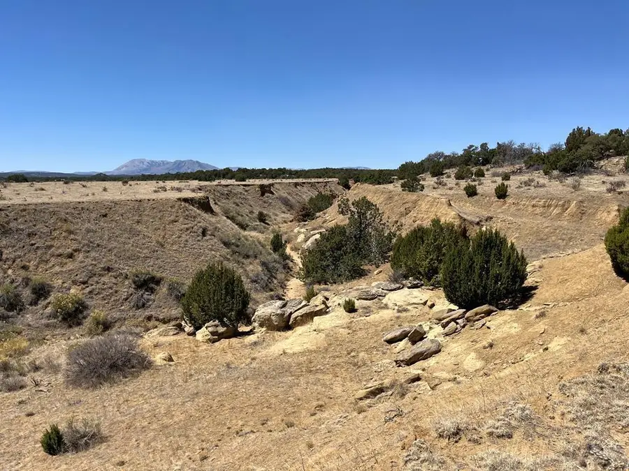 TR 66 County Rd 521, Walsenburg, CO 81089 - #2