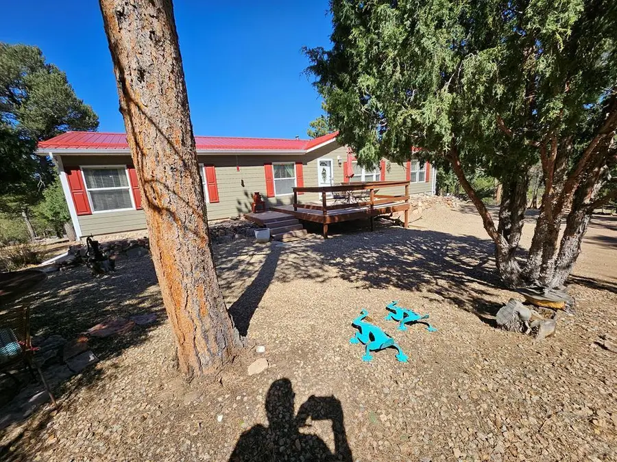 1900 Arnold Dr, Cotopaxi, CO 81223 - #2