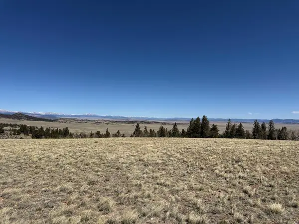 197 Baler Ct, Hartsel, CO 80449