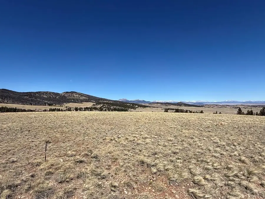 197 Baler Ct, Hartsel, CO 80449 - #2