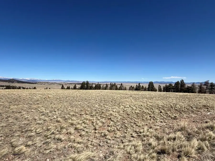 197 Baler Ct, Hartsel, CO 80449 - #3