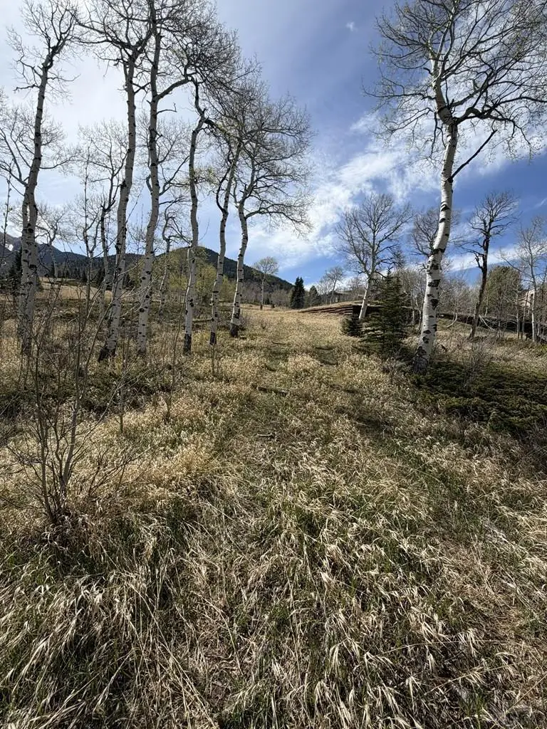 36 Baker Creek Ct, Cuchara, CO 81055 - #1