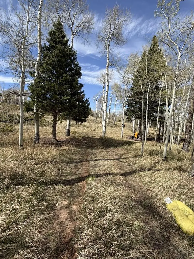 36 Baker Creek Ct, Cuchara, CO 81055 - #2