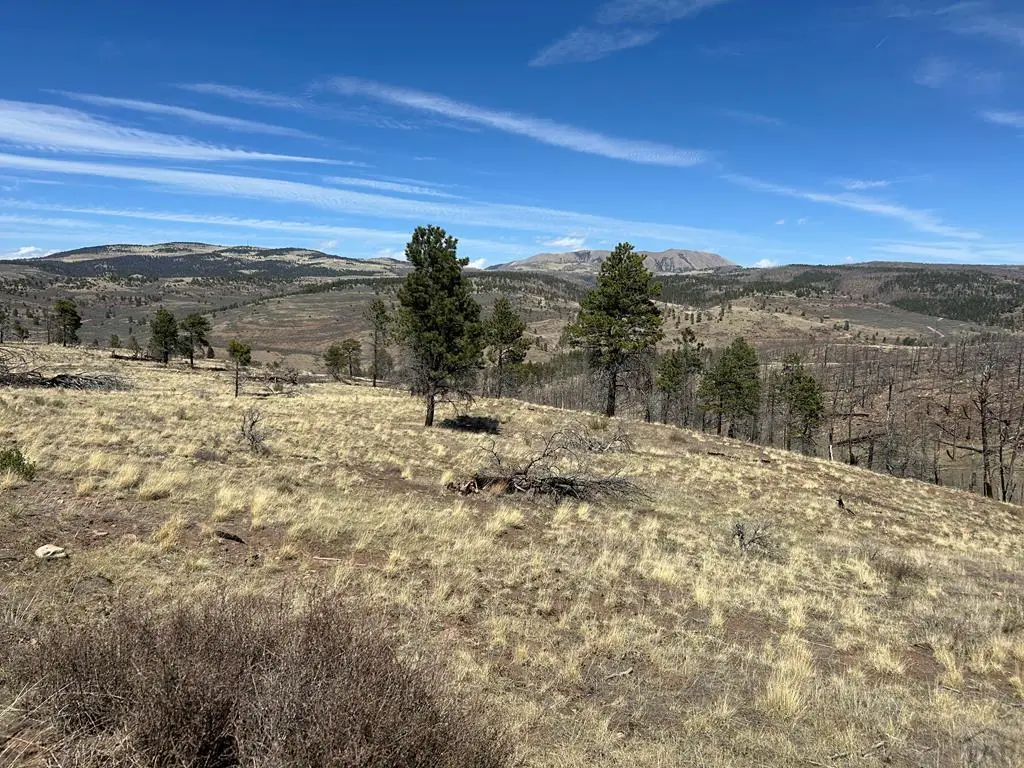 Lot 184 Forbes Pk, Fort Garland, CO 81133 - #1