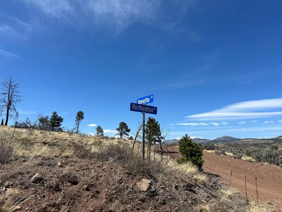 Lot 184 Forbes Pk, Fort Garland, CO 81133 - #2