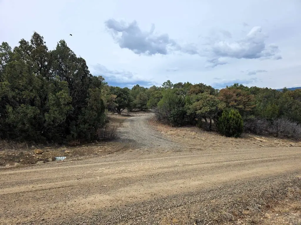 Lot 23 Rolling Hills Dr, Walsenburg, CO 81089 - #1