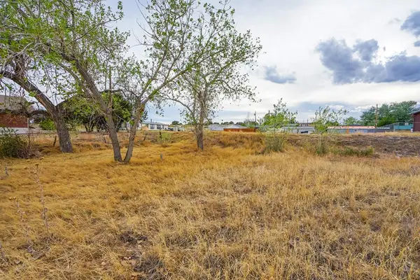 Lots 2 & 3 N Champa Ave, Walsenburg, CO 81089