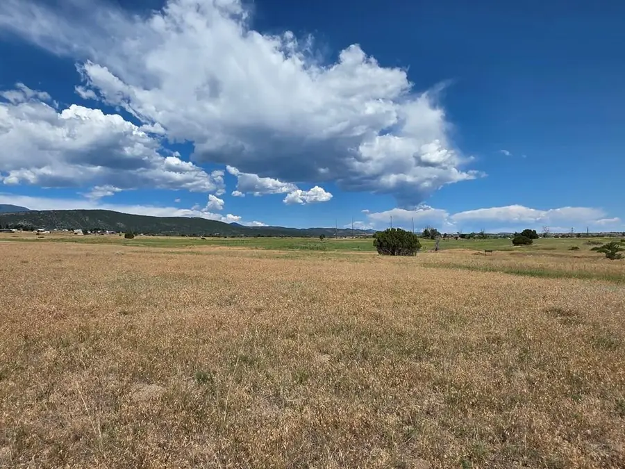Lot 195 Beckwith Dr, Colorado City, CO 81019 - #3