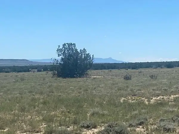 000 Longhorn Ranch, Model, CO 81059