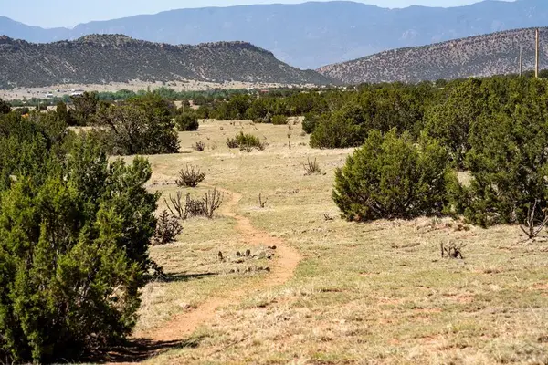 TBD Lot 1 County Road 132, Penrose, CO 81240