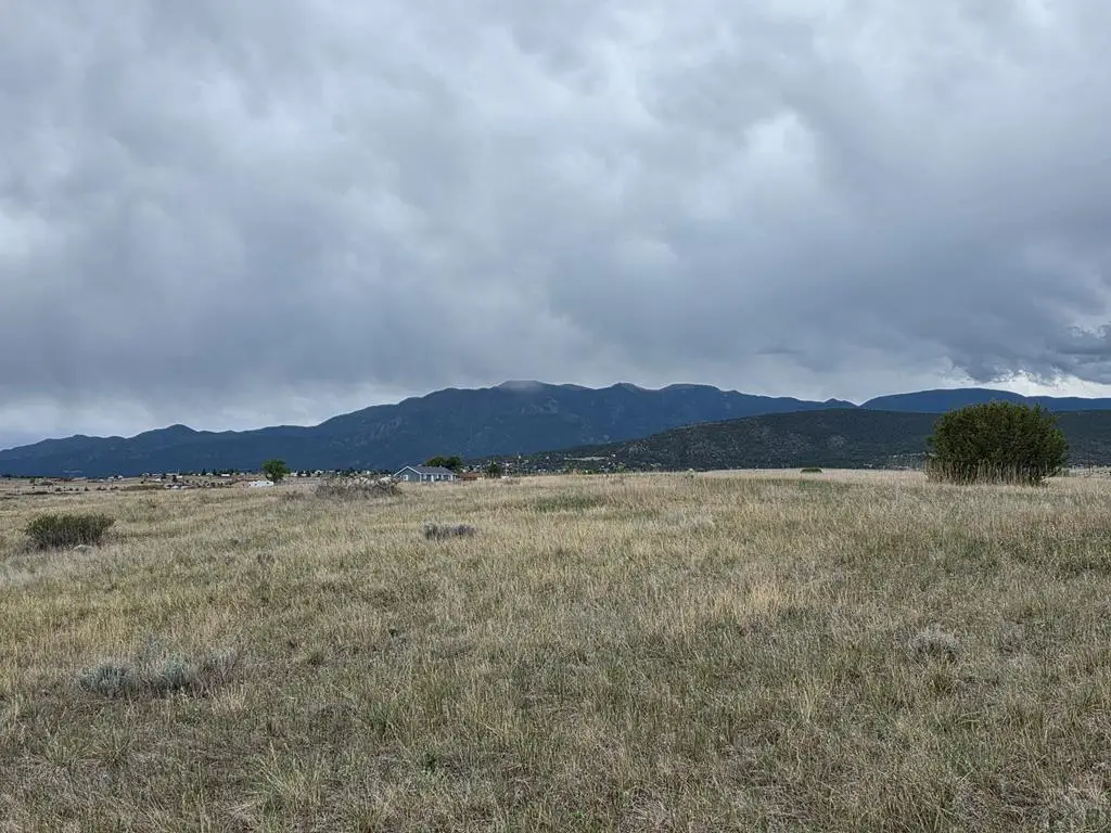 Lot 206 Otero Ct, Colorado City, CO 81019 - #1