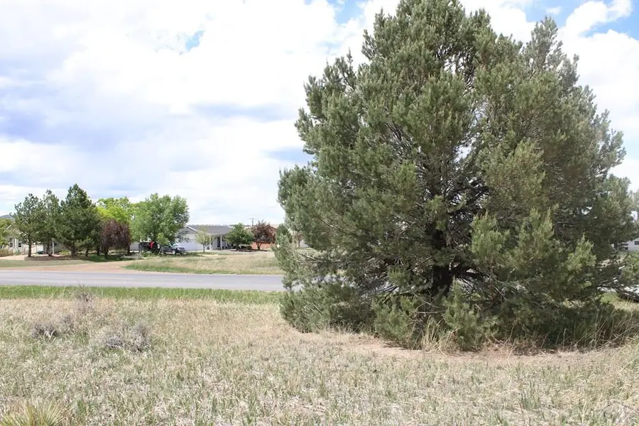Lot 125 Cuerno Verde Blvd, Colorado City, CO 81019 - #2