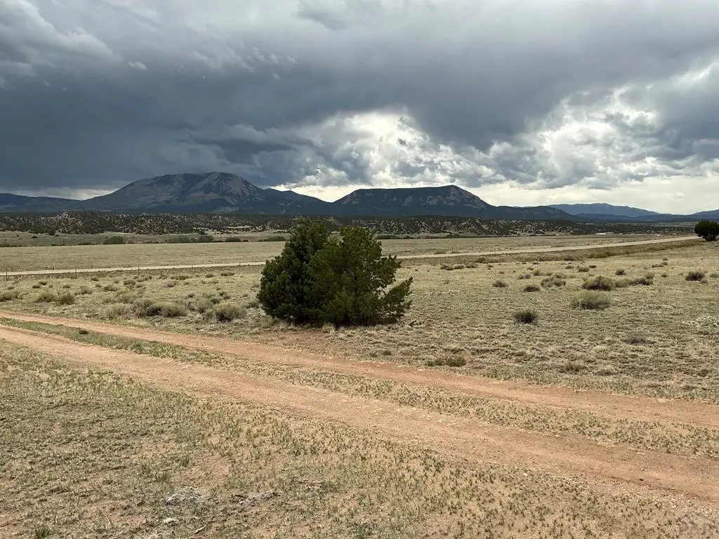 TBD Highway 69, Gardner, CO 81040 - #1