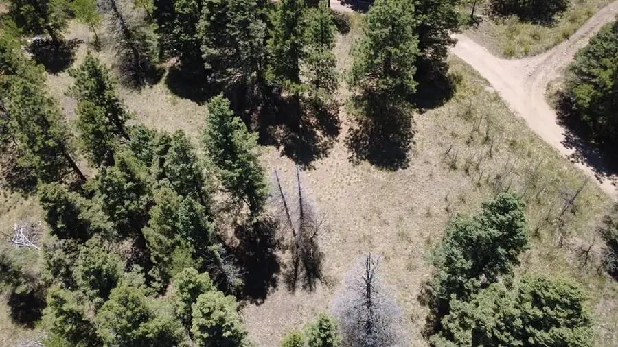 TBD Spanish Peaks Dr, Aguilar, CO 81020 - #2