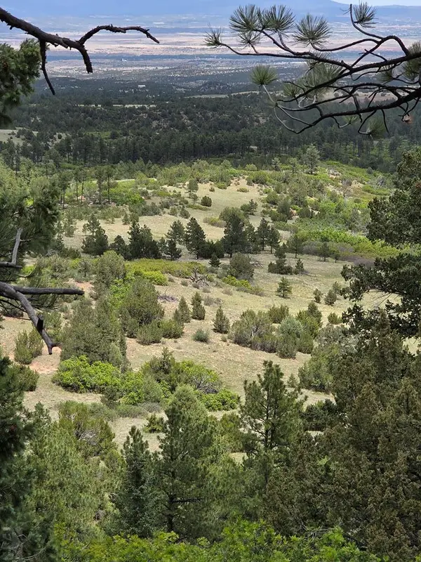 TBD County Road 15, Florence, CO 81226