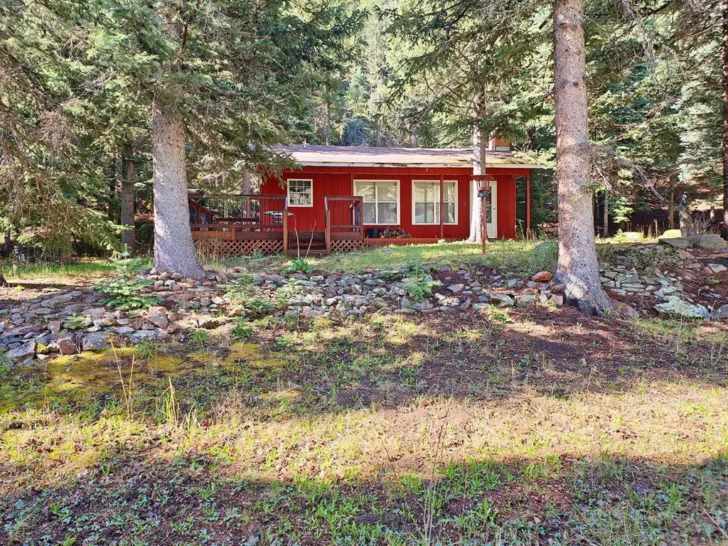 114 Silvercliffe, Rye, CO 81069 - #1