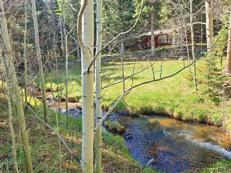 114 Silvercliffe, Rye, CO 81069 - #2
